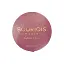 Рум'яна Bourjois Blush 33 2.5 г (8000018024415) - мініатюра 1