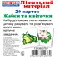 Картки міні Ranok Creative Рахунок Жаби і листочки 3106073 - мініатюра 1