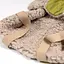 Попона Pet Fashion Gigi для собак, XXS фісташковий, бежевий - мініатюра 4