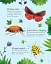 Bugs to Spot. Usborne Minis - миниатюра 7