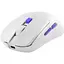 Миша Proove Everon White (WMEV00022002) [139421] - мініатюра 3