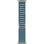Смарт-часы Apple Watch Ultra 3, 49 мм Natural Titanium Case with Light Blue Alpine Loop Medium MEWM4 (145310) - миниатюра 3