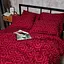 Комплект постільної білизни Moon&Star Бязь Gold Люкс Burgundy Charm King Size 220x240 наволочки 2х50х70 - мініатюра 7