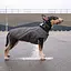 Жилет Pet Fashion E.Vest для собак, размер M, серый - миниатюра 6