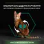 Уцінка. Сухий корм для стерилізованих котів Purina Pro Plan Sterilised Adult 1+ Renal Plus з індичкою 3 кг (12369078)   - мініатюра 5