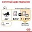 Вологий корм для кішок з чутливою шкірою і проблемною шерстю Royal Canin Intense Beauty, шматочки в соусі, 85 г - мініатюра 3