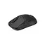 Компьютерная мышь Bloody беспроводная R72 Pro Duo Black teh0020410 - миниатюра 4