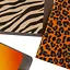 Блокнот А5 Cobart CBRT-0356 Leopard у крапочку 144 аркуша - мініатюра 4