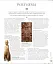 Myths & Legends: An illustrated guide to their origins and meanings - мініатюра 14