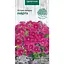 Насіння Петунія Гібридна Насіння України Райдуга 0.1 г (795700) - мініатюра 1