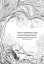Дівчинка на ім’я Віллоу. Шепіт лісу. Книга 2 - миниатюра 6