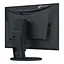 Монітор Eizo EV2480-BK - мініатюра 10