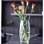 Ваза для цветов Pasabahce Botanica 26 см (43966) - миниатюра 6