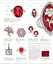 The Definitive Visual Guide: Jewel - мініатюра 5