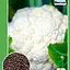Капуста цветная "Ранний урожай" ТМ "Весна" 0.3г (19084) - миниатюра 1