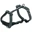 Шлея Trixie CityStyle H-harness для собак бавовна S-M 42-60 см 15 мм чорний - мініатюра 1