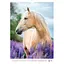 Календар настінний Axent А3 Horses 2026 рік (8804-26-3-A) - мініатюра 6