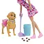 Ігровий набір Barbie Family and friends Прогулянка з песиком (JJB46) - мініатюра 2