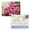 Набір з алмазною мозаїкою "Рожеві квіти", 40*50 см, IDEA2-CK569 - мініатюра 1
