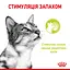 Влажный корм для взрослых кошек Royal Canin Sensory Smell Jellyкусочки в желе 1.02 кг (12 шт. х 85 г) - миниатюра 6