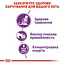 Сухой корм для кошек с чувствительной пищеварительной системой Royal Canin Sensible, с птицей, 4 кг (2521040) - миниатюра 5