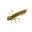 Силікон FishUP Dragonfly 1.7" #074 Green Pumpkin Seed (8 шт/уп) - мініатюра 1