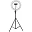 Кільцева світлодіодна LED лампа Flat Ring 10" + tripod 2.1m Black - мініатюра 2