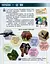 Я досліджую світ. 3 клас. Підручник. У 2 частинах. Частина 1 - миниатюра 3