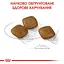 Сухой корм для собак малых пород, чувствительных к изменениям среды Royal Canin Mini Relax Care, 1 кг (1224010) - миниатюра 5