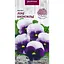 Насіння Фіалка Насіння України Лорд Біконсфільд 0.05 г (750400) - мініатюра 1