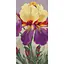 Набір для розпису ArtCraft Ірис Карнівал Каперс 40 x 80 см (13095-AC) - мініатюра 1