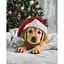 Картина за номерами на підрамнику Brushme Пухнастий новорічний друг - мініатюра 1