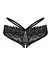Трусики Obsessive Donarella XS/S (чорний) - мініатюра 16