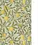 William Morris: Pattern Design (Victoria and Albert Museum) - миниатюра 2
