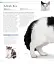 The Cat Encyclopedia - миниатюра 14