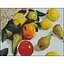 Алмазна мозаїка Strateg Фрукти 30х40 см без підрамника (ZAV3040-42) - мініатюра 1