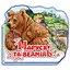 Маруся та ведмідь (міні) (М332004У) - мініатюра 1