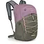 Рюкзак Osprey Quasar 26 Pink Grey (1054-009.3647) - миниатюра 1
