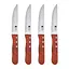 Набор ножей для стейков Bergner Bbq lovers 4 предмета (BG-40201-MM) - миниатюра 1