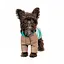 Дощовик Pet Fashion Semmy для собак розмір XS - мініатюра 2