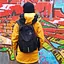Рюкзак Fram Urban 25 L (1044-id_10687) - миниатюра 2