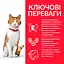 Сухий корм Hill SP Young Adult Sterilised для стерилізованих молодих котів з куркою 15 кг - мініатюра 2