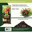 Торфосмесь универсальная COMPO SANA® 20 л - миниатюра 7