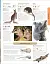 Animals A Children's Encyclopedia - мініатюра 3