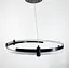 LED люстра у чорному каркасі Line.F Діаметр 60см - мініатюра 1