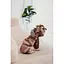 Дождевик Pet Fashion Mustang для собак размер M - миниатюра 8