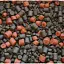 Пелети Carpio Hi-Protein Mix 7 kg - мініатюра 2