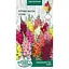 Насіння Ротики великі Насіння України суміш 0.1 г (790200) - мініатюра 1