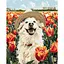 Картина за номерами "Щасливий лабрадор" KHO6623, 40х50 см - мініатюра 1