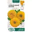 Насіння Соняшник низький махровий Насіння України 1 г (799800) - мініатюра 1